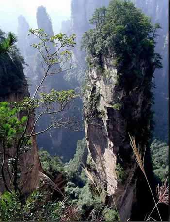 長沙出發(fā)到張家界溶洞奇觀黃龍洞、國家森林公園、袁家界、峰林之王天子山三日游（早班）
