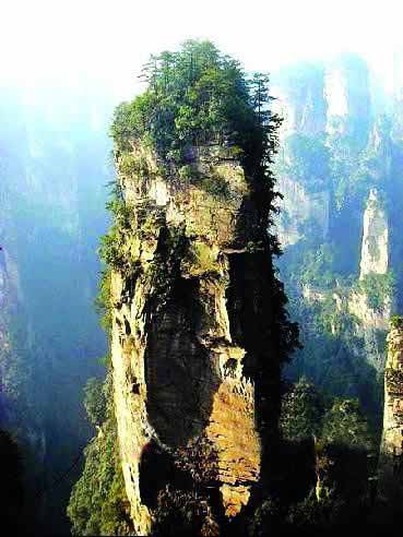 張家界國家地質(zhì)森林公園、黃石寨、金鞭溪休閑一日游